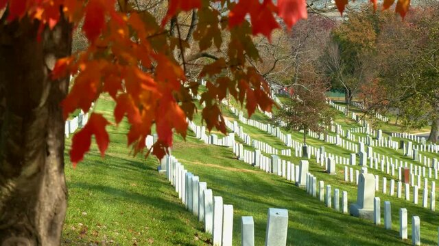 2019 - establishing grave sites in Arlington National Cemetery, Washington D.C. with fall colors.