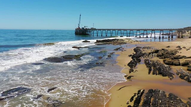Aerial seals bask in a rookery on the beach near Carpinteria bluffs, Santa Barbara, California.