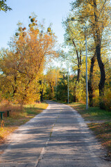 park and yellow and green trees. The beginning of autumn. road to distance and blue sky. vertical photo. alley
