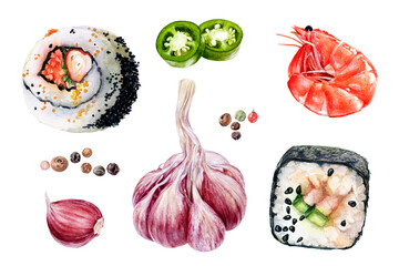 Garlic sushi shrimp jalapeno peppercorns set watercolor painting isolated on white background © cosmicanna