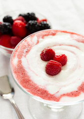 Frozen yogurt with berry sauce and raw berries