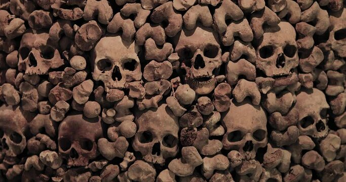 Wall of human bones and skulls in a catacomb