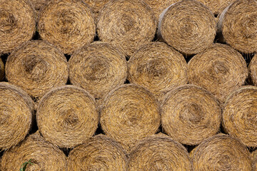Straw pile on the fields, summertime, daylight, blue sky. Hay bales