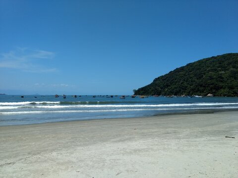 pereque beach with trees and sea - guaruja s&atilde;o paulo brazil