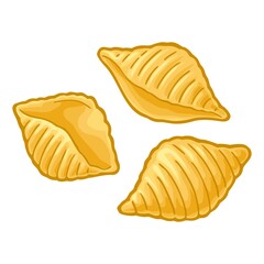 Pasta conchiglie. Vector color illustration isolated on white background.
