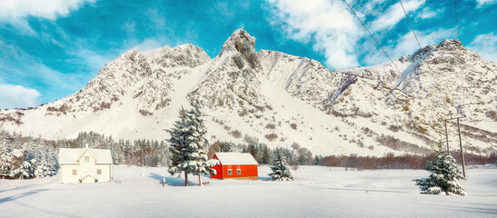 Gorgeous winter scenery with traditional Norwegian wooden houses and pine trees near Valberg village at Lofotens.