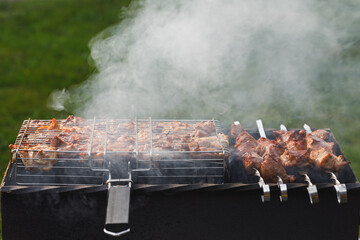 grill barbecue meat on a brazier with smoke, green grass background