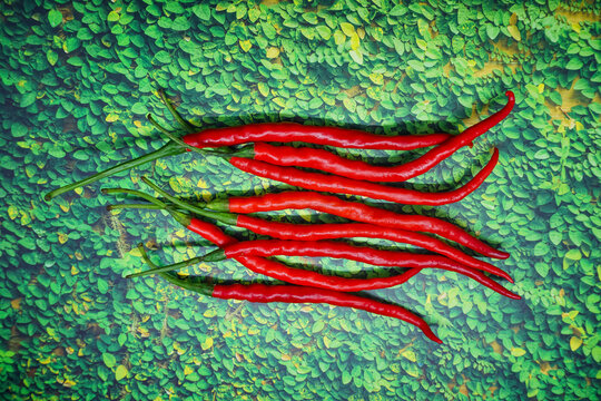 Red chilies on green leaf background