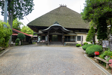 Fototapeta premium 天龍寺