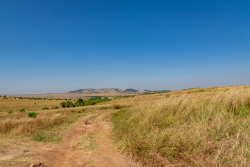Fototapeta na wymiar ケニアのマサイマラ国立保護区に広がる大草原と青空
