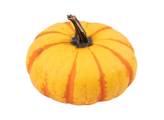 tiger striped pumpkin