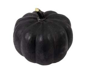 black bellota squash isolated over white background