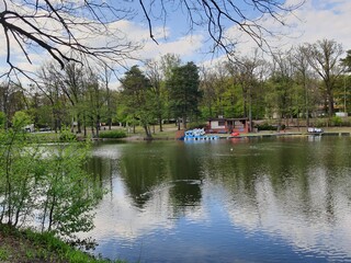 Jezioro w lesie w słoneczny dzień