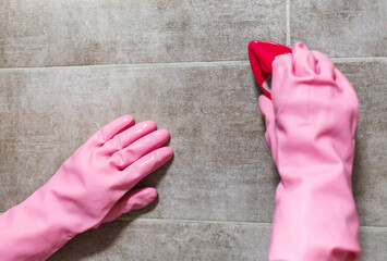 Woman hands in pink rubber gloves cleaning washing sink in bathroom. Close up. Disinfection of bath.	
