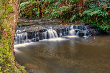 There are several awesome large waterfalls in the Catlins but this is just one of the many smaller ones walking through the forest to the main attractions