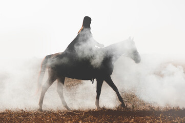 A mysterious horseman on a horse walks through the thick smoke. Girl in a raincoat on a horse in...