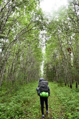 Boreal Trail