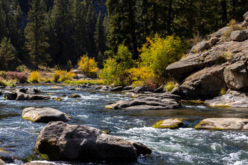 Autumn Color in Eleven Mile