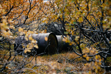 the uncovered an old rusty and leaky barrel of oil at the forest