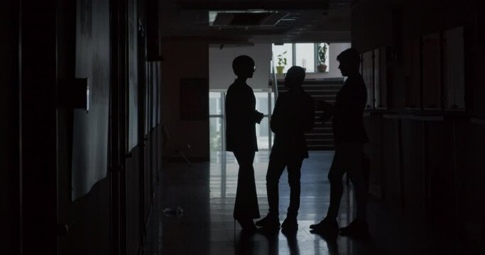 Businessmen and businesswoman talking in private, silhouettes