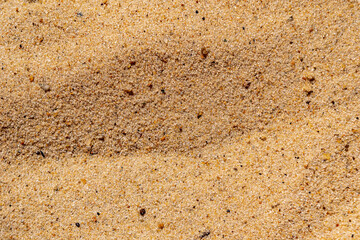 Sand texture background. Top view