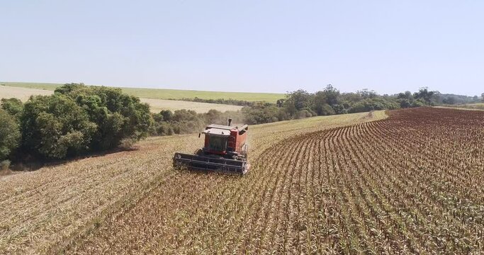 Image of sorghum harvester on a farm in Brazil. 4K.