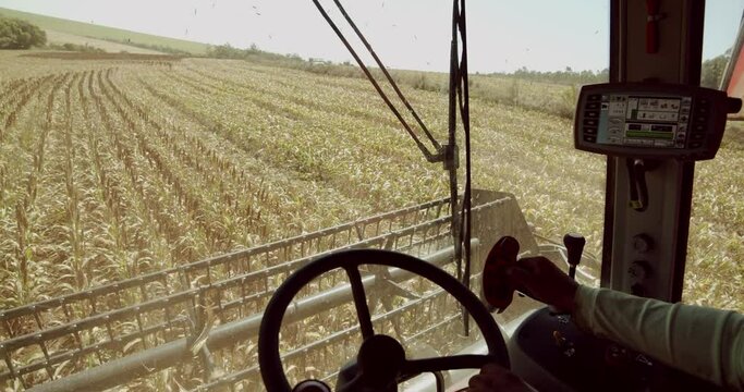 Image of sorghum harvester on a farm in Brazil. 4K.
