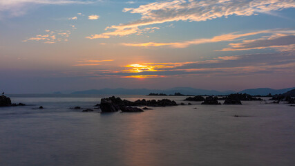 Fototapeta premium 소나무와 바다