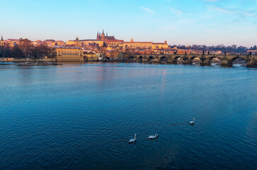 The Charles Bridge and Prague Castle at sunrise by the Vltava river with swans, Prague, Czech Republic.