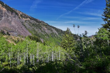 Lake Blanche forest and mountain landscape views from trail. Wasatch Front Rocky Mountains, Twin Peaks Wilderness,  Wasatch National Forest in Big Cottonwood Canyon in Salt Lake County Utah. 