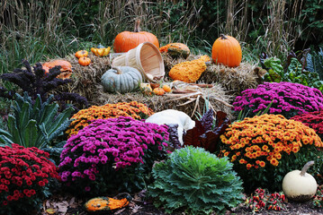 Colors of autumn background. Bright colors fall season outdoor decoration with potted chrysanthemums and unusual pumpkins on the hay bricks as a part of traditional American autumn holidays culture.