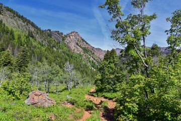 Lake Blanche forest and mountain landscape views from trail. Wasatch Front Rocky Mountains, Twin Peaks Wilderness,  Wasatch National Forest in Big Cottonwood Canyon in Salt Lake County Utah. 