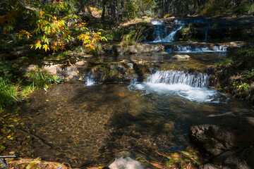 Naklejka na ściany i meble Waterfall in autumn forest, beautiful morning in the Horton Creek, Payson Arizona. Copy space for text