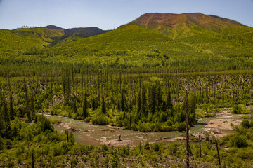 Obraz premium North Fork Flathead River, Montana 