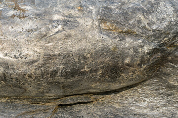 The plane of the lump is gold-antimony ore. Olimpiada deposit, Krasnoyarsk Territory. Mineral...