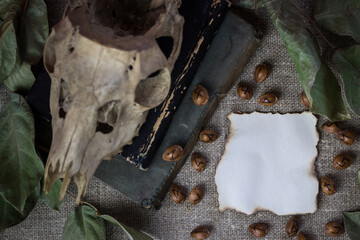 Esoteric mockup: place for text on burnt square sheet. Runes are scattered around (on apricot kernels), old books are lying nearby, goat skull on them