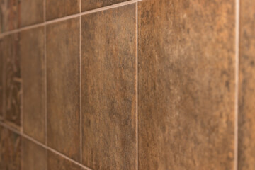Close-up of the bathroom wall - brown tile