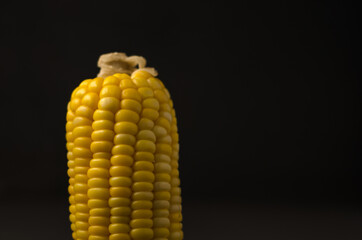 Corn black background, healthy organic food, bio nutrition, fresh ripe vegetable, maize cob, golden textured wallpaper, vegetarian eating and diet concept