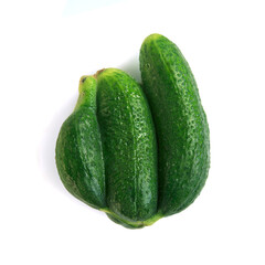 Ugly green cucumbers isolated. Food waste from supermarket. Trendy vegetables concept