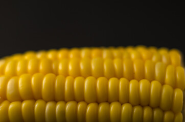 Corn black background, healthy organic food, bio nutrition, fresh ripe vegetable, maize cob, golden textured wallpaper, vegetarian eating and diet concept
