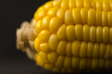 Corn black background, healthy organic food, bio nutrition, fresh ripe vegetable, maize cob, golden textured wallpaper, vegetarian eating and diet concept