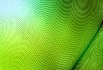Light Green, Yellow vector background with wry lines.