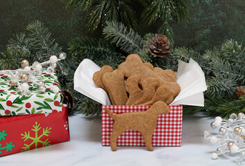 A gift box of peanut butter dog cookies in a Christmas setting.