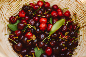 cherries