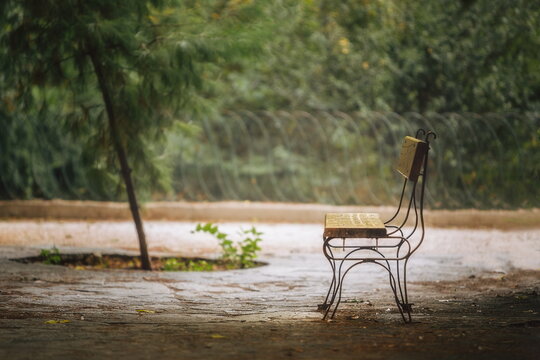 A Park Bench