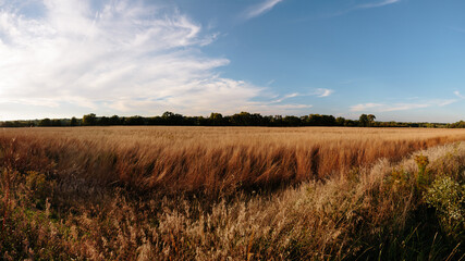 wide view of Indiana landscape in autumn