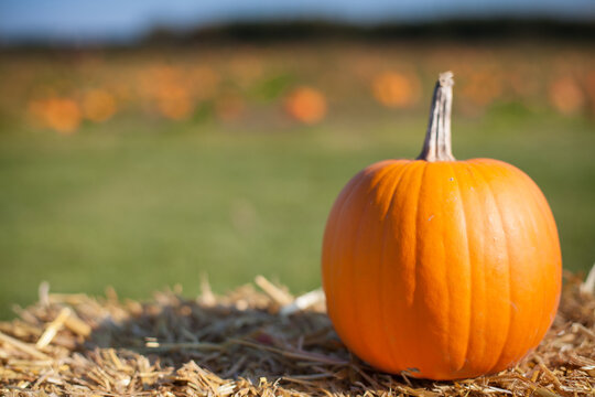 A pumpkin rests on a bale of hay.