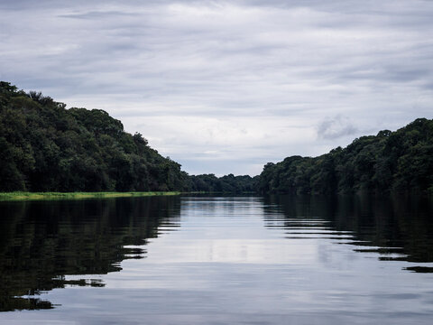 Tributary off the Amazon - Rio Negre river, Brazil
