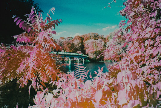 DMV in Infrared