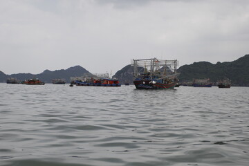 HA LONG BAY, VIETNAM - NOVEMBER 13, 2018: Halong Bay, Vietnam. Unesco World Heritage Site. Traditional tourist boats.